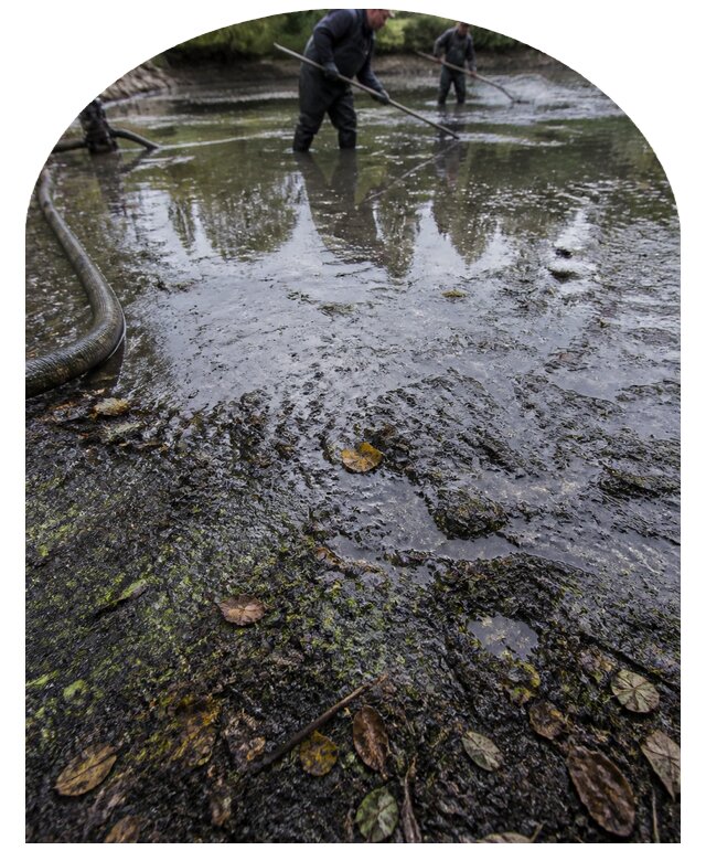 Очистка пруда в Саранске от ила мусора и водорослей с вывозом